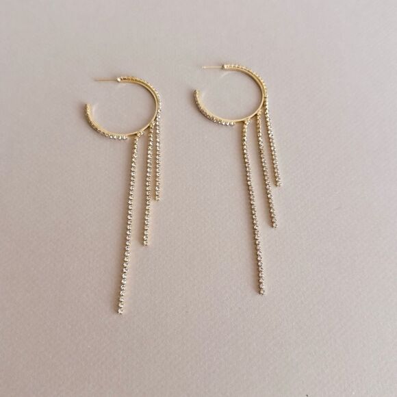 Anthropologie Jewelry - Diamond hoop earrings S825